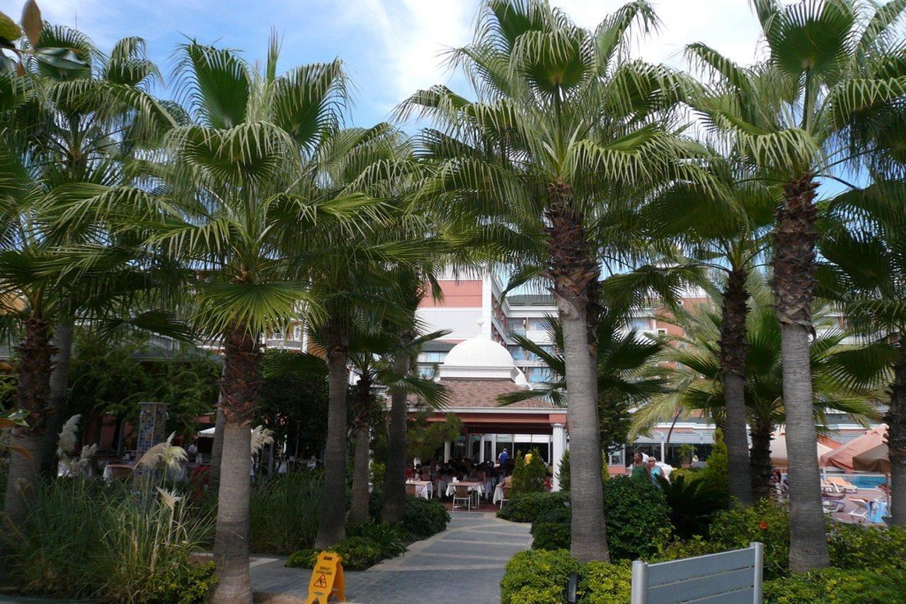 Insula Resort & Spa Alanya Exteriör bild